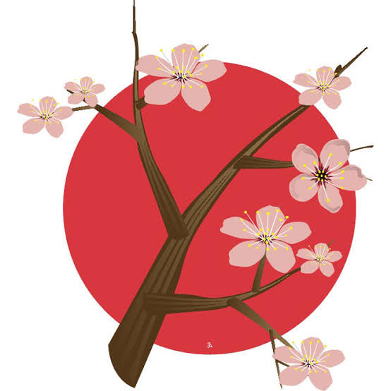 Skincare Japonés